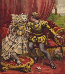 Die weiße Katze von English School