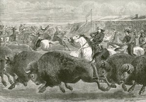 Vadnyugat a Nagy Amerikai Kiállításon - bölényre és wapiti szarvasra vadászni alkotó: English School