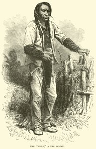 A farkas, Ute indián alkotó: English School