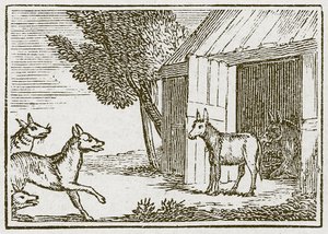 Die Wölfe und der kranke Esel