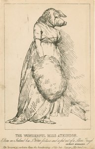 Az írországi születésű Csodálatos Atkinson kisasszony 20 000 GBP vagyonnal rendelkezik, és egy ezüstvályúból táplálják. alkotó: English School