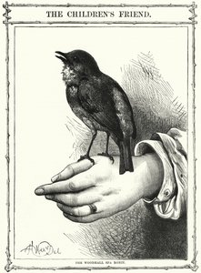 A Woodhall Spa-i Robin (metszet) alkotó: English School
