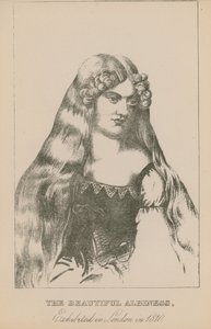 A gyönyörű albiness, 1810-ben Londonban kiállítva alkotó: English School