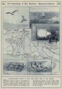 A hadigépek, hírnök-galambok, hírnök-galamb szolgálat kezdetei a háborúban, a kezdetektől napjainkig alkotó: English School