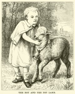 A fiú és a kisállat bárány (metszet) alkotó: English School