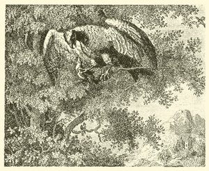 A sólyom és a fülemüle (metszet) alkotó: English School