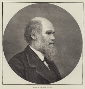 A néhai Mr. C. R. Darwin, FRS, LLD alkotó: English School