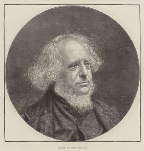 A néhai Sir Henry Cole, KCB alkotó: English School