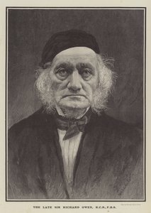 A néhai Sir Richard Owen, KCB, FRS (metszet) alkotó: English School