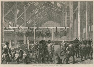 Az új külföldi marhapiac, Deptford, London - a központi istálló