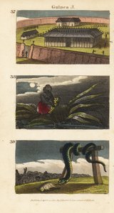Dahomey királyának palotája Abomeyben 37, egy afrikai férfi, aki fétis rejtőzik 38, és Whydah lakossága, akik egy hatalmas kígyót imádnak 39 alkotó: English School