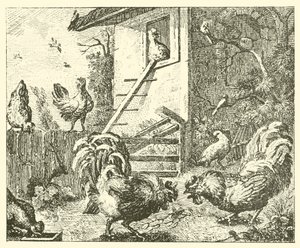 A fogoly és a kakasok (metszet) alkotó: English School