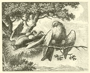 A beteg sárkány (metszet) alkotó: English School