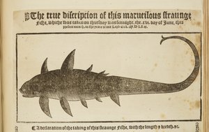 "Ennek a szörnyű, furcsa Fishe-nek az igaz leírása" 1569 (metszet) alkotó: English School