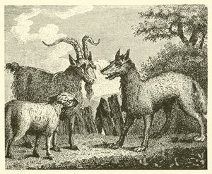 A farkas, a bárány és a kecske (metszet) alkotó: English School