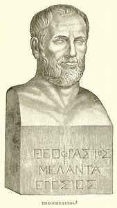 Theophrasztosz alkotó: English School