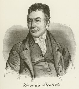 Thomas Bewick (metszet) alkotó: English School