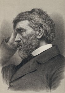 Thomas Carlyle (metszet) alkotó: English School