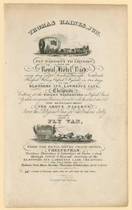 Thomas Haines. Hirdetés alkotó: English School