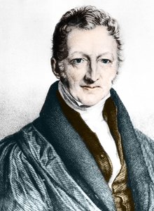 Thomas Robert Malthus (színes metszet) alkotó: English School