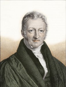 Thomas Robert Malthus (színes metszet) alkotó: English School