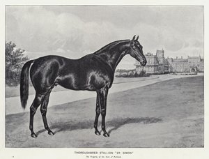 "St Simon" telivér mén (litho) alkotó: English School