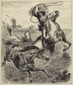 A lasszó dobása alkotó: English School