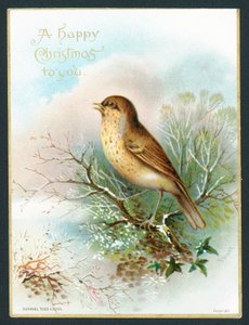 Rigó, karácsonyi üdvözlőlap alkotó: English School