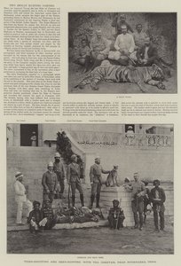 Tigrislövés és szarvasvadászat a gepárddal, Hyderabad közelében, Indiában (metszet) alkotó: English School