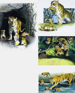 Tigris és kölykök alkotó: English School
