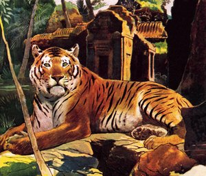 Tigris a romokban