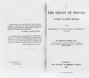 Charles Darwin 1859-ben megjelent A fajok eredetéről című könyvének címlapja alkotó: English School