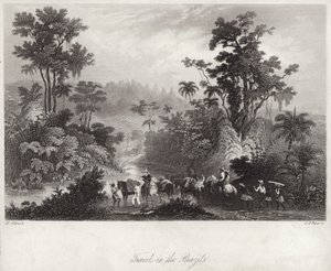 Utazások a brazilokban alkotó: English School