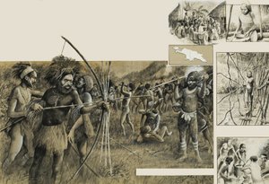 Új-Guinea törzsei alkotó: English School