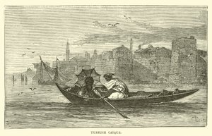 Török Caique alkotó: English School