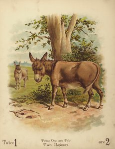 Két szamár (chromolitho) alkotó: English School