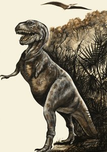 Tyrannosaurus Rex alkotó: English School