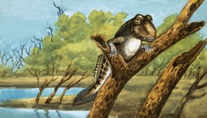 Azonosítatlan lény alkotó: English School