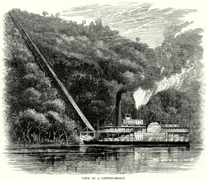 Egy gyapotfűzér látképe (metszet) alkotó: English School