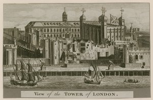 Kilátás a Tower of Londonra alkotó: English School