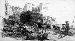 Kocsik Esparto Grass-szel, Almeria, Spanyolország, a „The Picturesque Mediterranean” 3. kötetéből, kiadó: Cassell and Co. Ltd. alkotó: English School