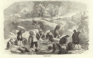 Ágynemű mosás alkotó: English School