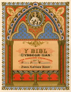 A walesi Biblia címlapja