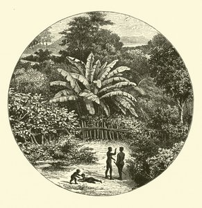 Nyugat-Afrika alkotó: English School