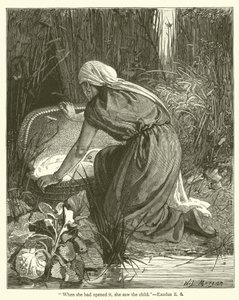 "Amikor kinyitotta, meglátta a gyermeket", Exodus, ii, 6 (metszet) alkotó: English School