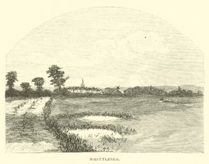 Whittlesea alkotó: English School