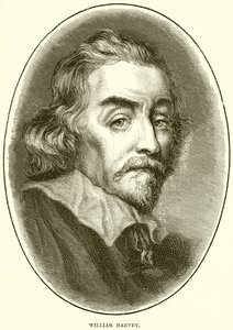 William Harvey alkotó: English School