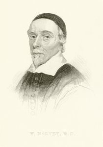 William Harvey alkotó: English School