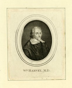 William Harvey alkotó: English School