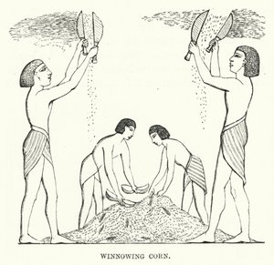 Winnowing Corn (metszet) alkotó: English School